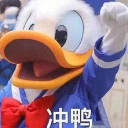 手把手带你体验鸿蒙 harmonyOS-鸿蒙开发者社区